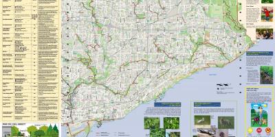 Karta över parker och vandringsleder Toronto East