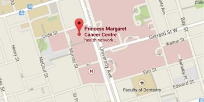 Karta över Princess Margaret Cancer Centre Toronto