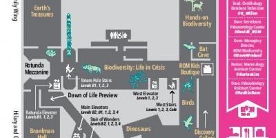 Karta över Royal Ontario Museum nivå 2