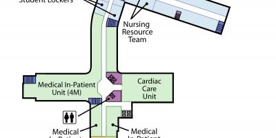 Karta över St. Joseph ' s Health centre Toronto nivå 4